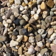 Sedum Album Athoum Grind