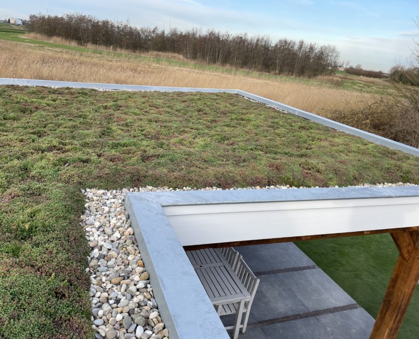 Overkapping met sedum