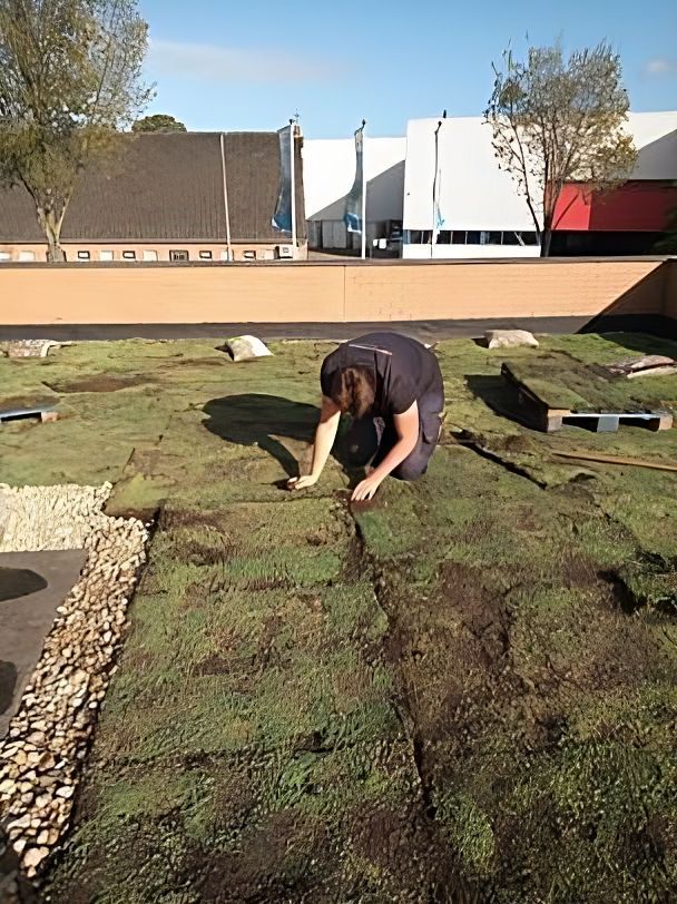 aanleggen-groen-dak-transformed